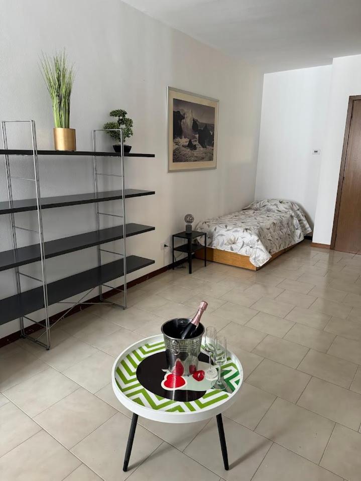 La Torretta Apartment Пескьера-дель-Гарда Экстерьер фото